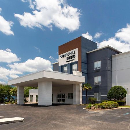Springhill Suites By Marriott Baton Rouge South Exterior foto